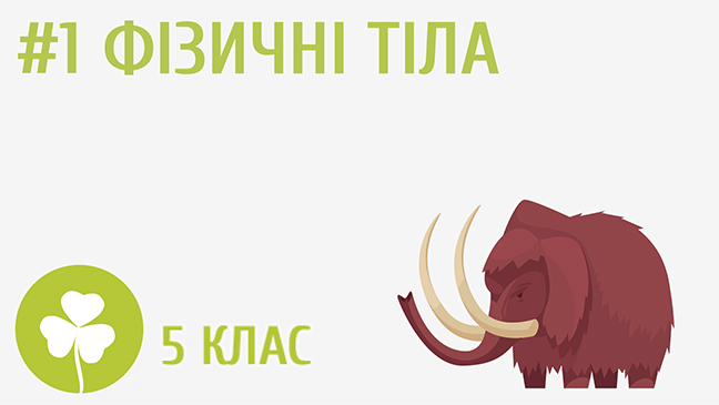 Фізичні тіла