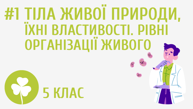 Тіла живої природи, їхні властивості. Рівні організації живого