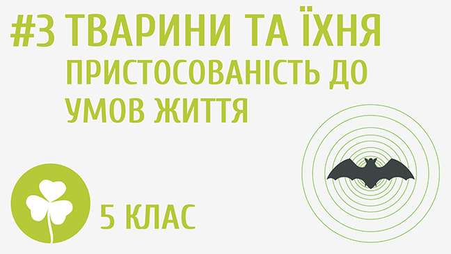 Тварини та їхня пристосованість до умов життя