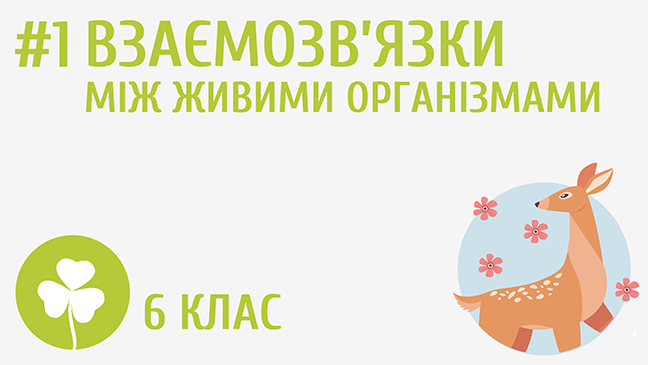 Взаємозв’язки між живими організмами