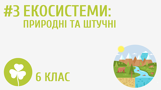 Екосистеми: природні та штучні