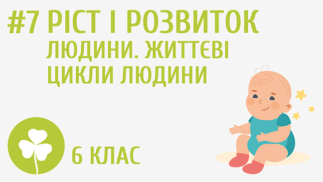 Ріст і розвиток людини. Життєві цикли людини