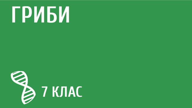 мініатюрний