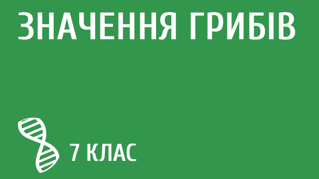 мініатюрний