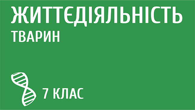 мініатюрний