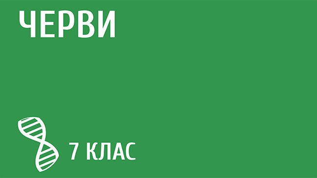 мініатюрний