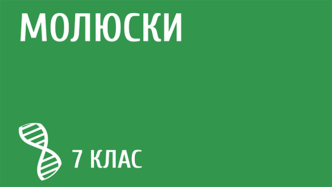 мініатюрний