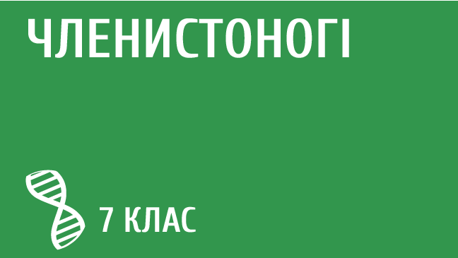 мініатюрний