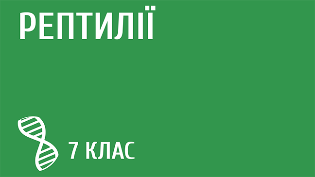 мініатюрний