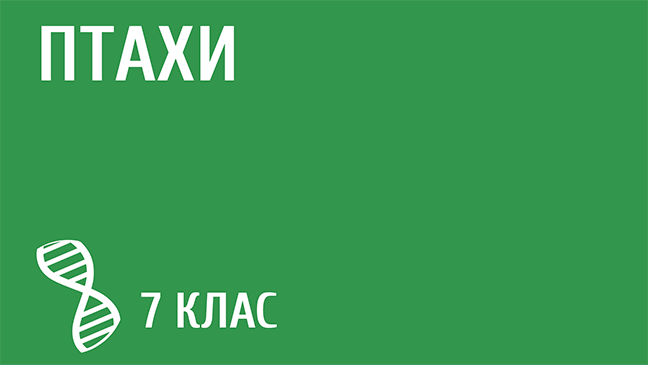 мініатюрний