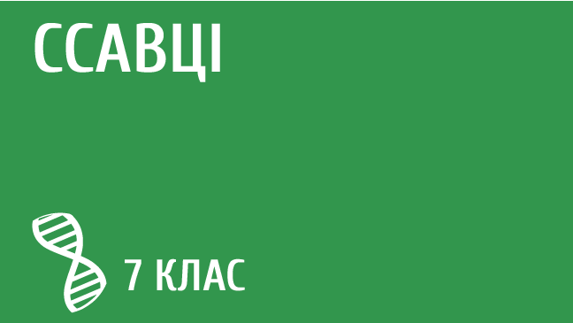мініатюрний