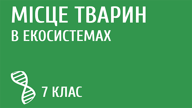 мініатюрний