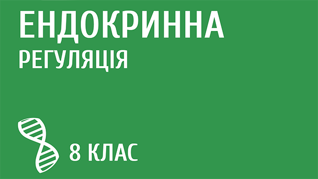мініатюрний