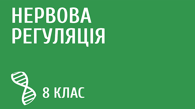 мініатюрний